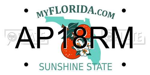 AP18RM Florida License Plate