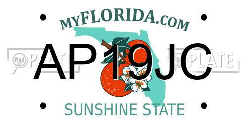 AP19JC Florida License Plate
