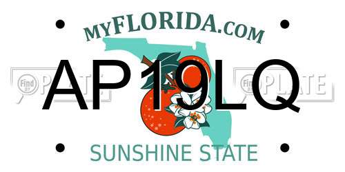 AP19LQ Florida License Plate