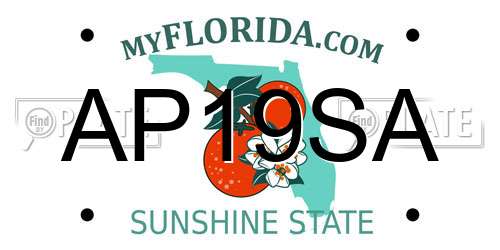 AP19SA Florida License Plate