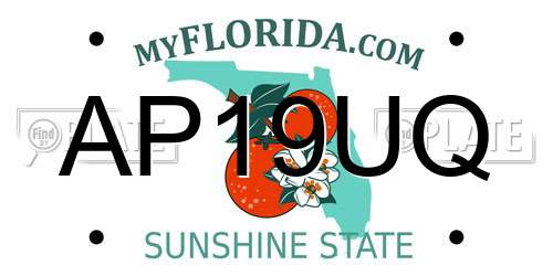AP19UQ Florida License Plate