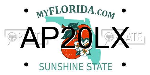 AP20LX Florida License Plate