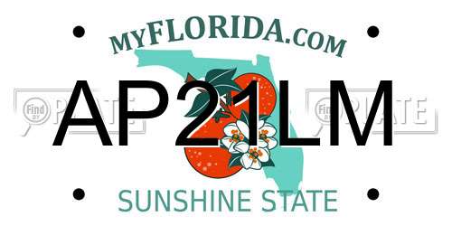 AP21LM Florida License Plate