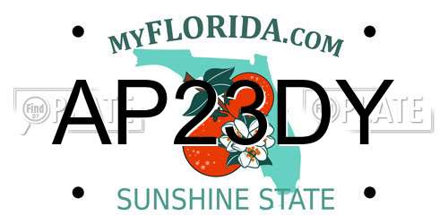 AP23DY Florida License Plate