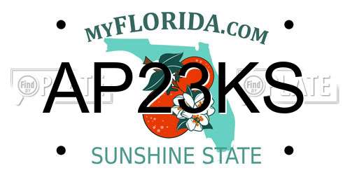 AP23KS Florida License Plate