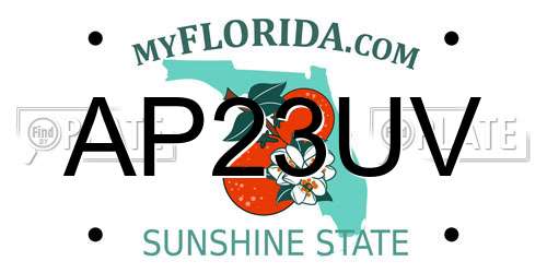 AP23UV Florida License Plate