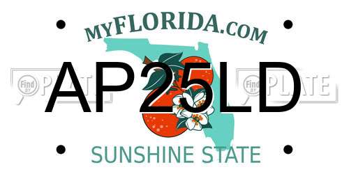 AP25LD Florida License Plate