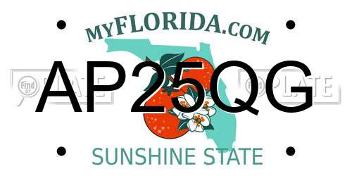 AP25QG Florida License Plate