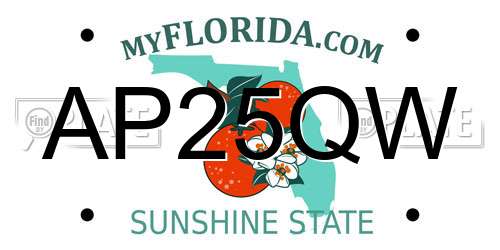 AP25QW Florida License Plate