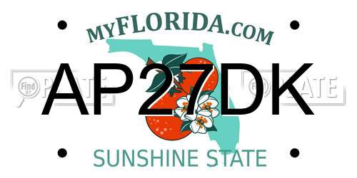 AP27DK Florida License Plate