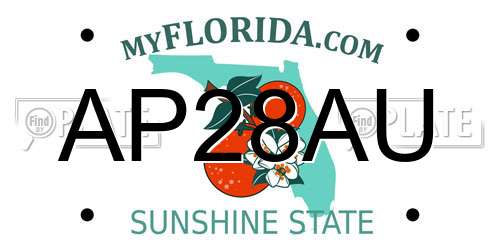AP28AU Florida License Plate