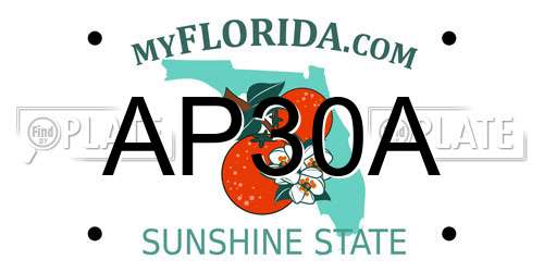 AP30A Florida License Plate