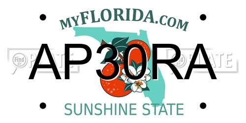 AP30RA Florida License Plate