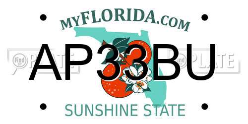 AP33BU Florida License Plate
