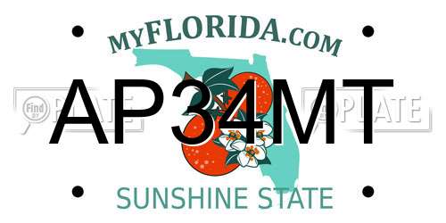 AP34MT Florida License Plate