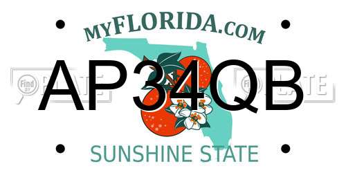 AP34QB Florida License Plate