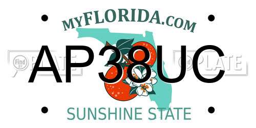 AP38UC Florida License Plate