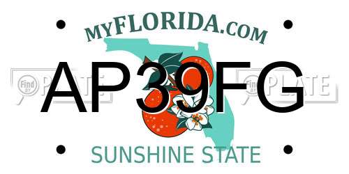 AP39FG Florida License Plate