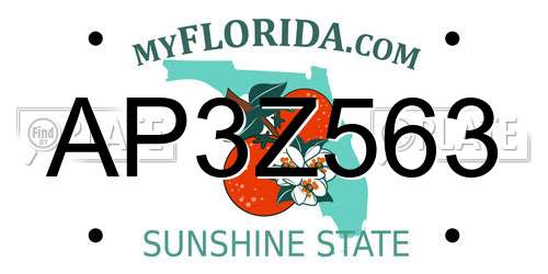 AP3Z563 Florida License Plate