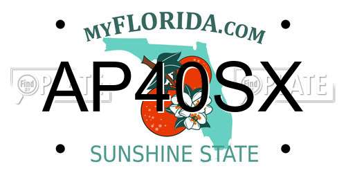 AP40SX Florida License Plate