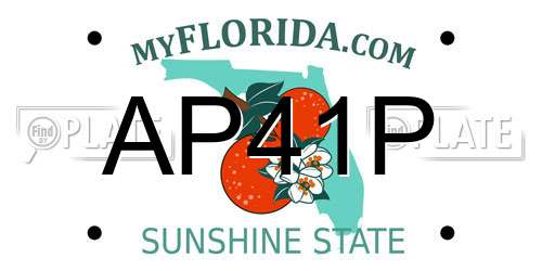 AP41P Florida License Plate