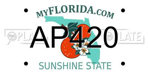 AP420 Florida License Plate