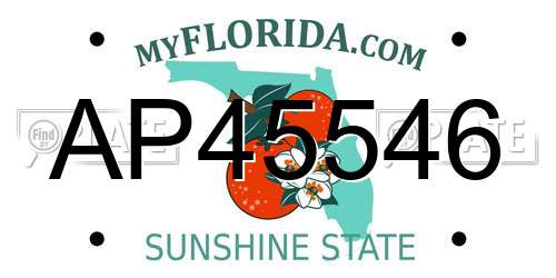 AP45546 Florida License Plate