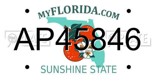 AP45846 Florida License Plate
