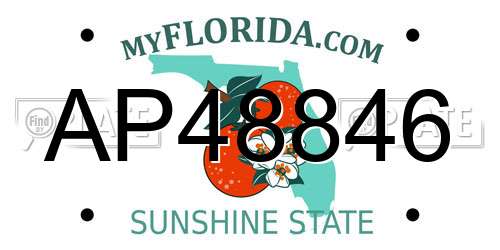 AP48846 Florida License Plate