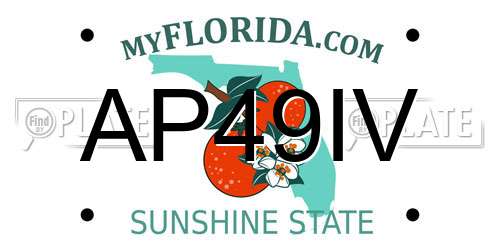 AP49IV Florida License Plate