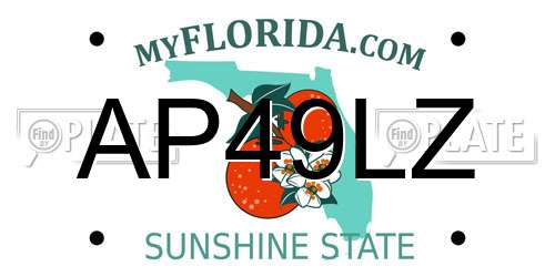 AP49LZ Florida License Plate