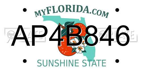AP4B846 Florida License Plate