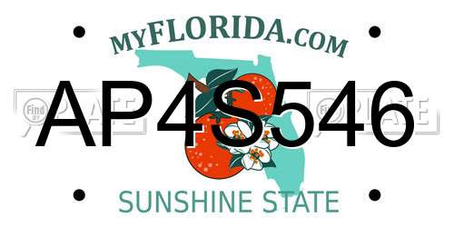 AP4S546 Florida License Plate