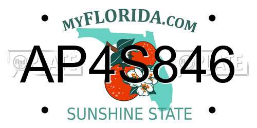 AP4S846 Florida License Plate