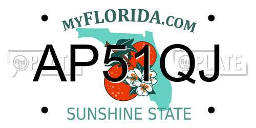 AP51QJ Florida License Plate