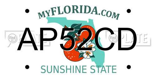 AP52CD Florida License Plate