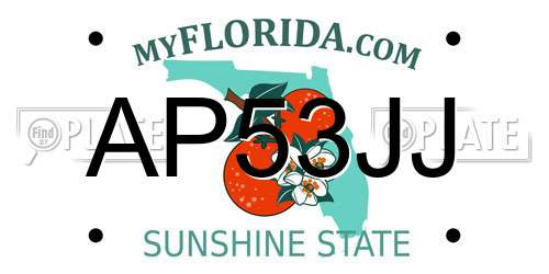 AP53JJ Florida License Plate