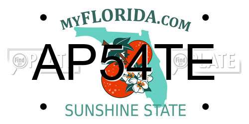 AP54TE Florida License Plate