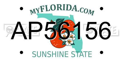 AP56156 Florida License Plate