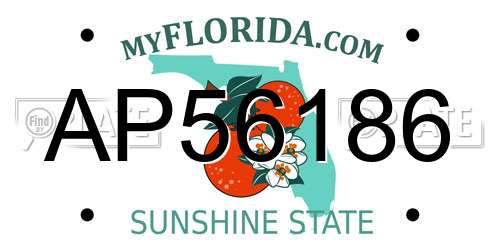 AP56186 Florida License Plate