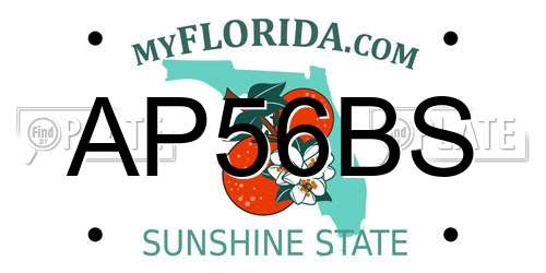 AP56BS Florida License Plate