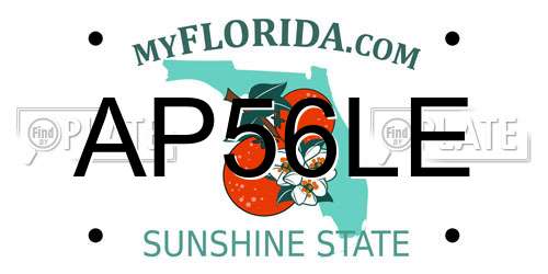 AP56LE Florida License Plate