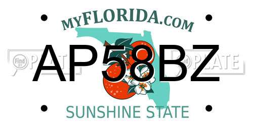 AP58BZ Florida License Plate