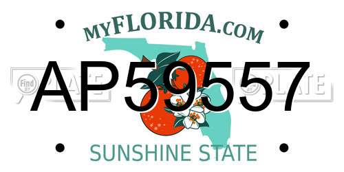 AP59557 Florida License Plate