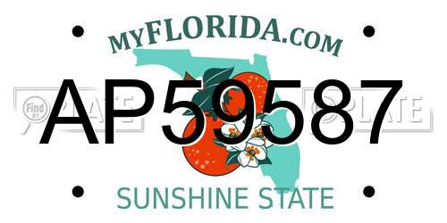 AP59587 Florida License Plate
