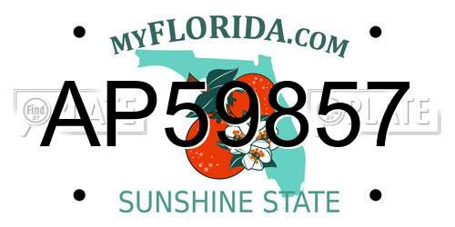 AP59857 Florida License Plate