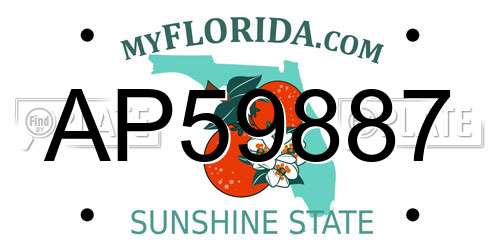 AP59887 Florida License Plate
