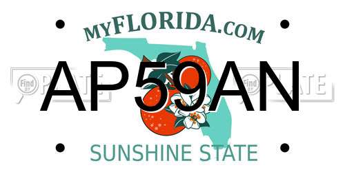 AP59AN Florida License Plate