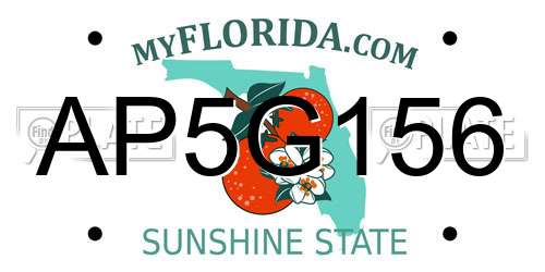 AP5G156 Florida License Plate