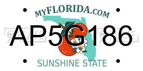 AP5G186 Florida License Plate